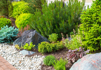 Landscape Design & Maintenance