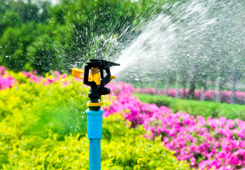 Irrigation System Installation & Repair